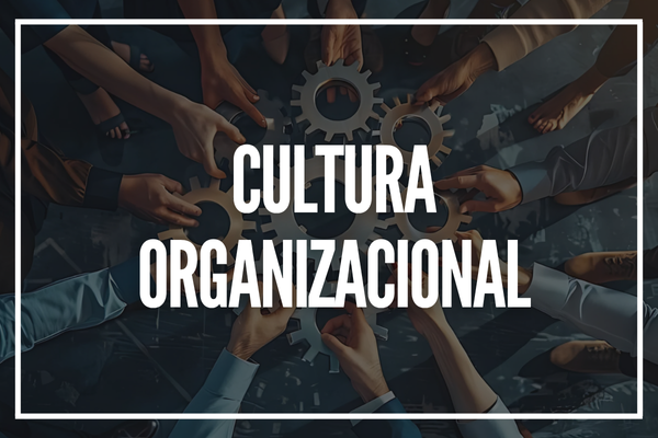 Copia-de-VINHETA-CURSO-6